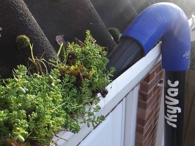 Gutter Cleaners in Sheffield